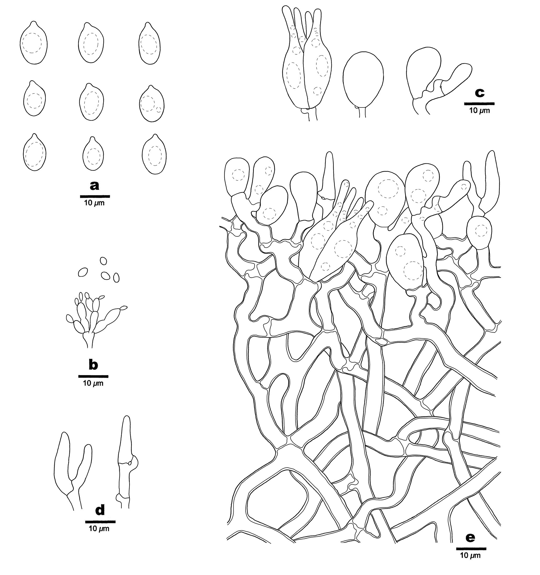 Figure 79